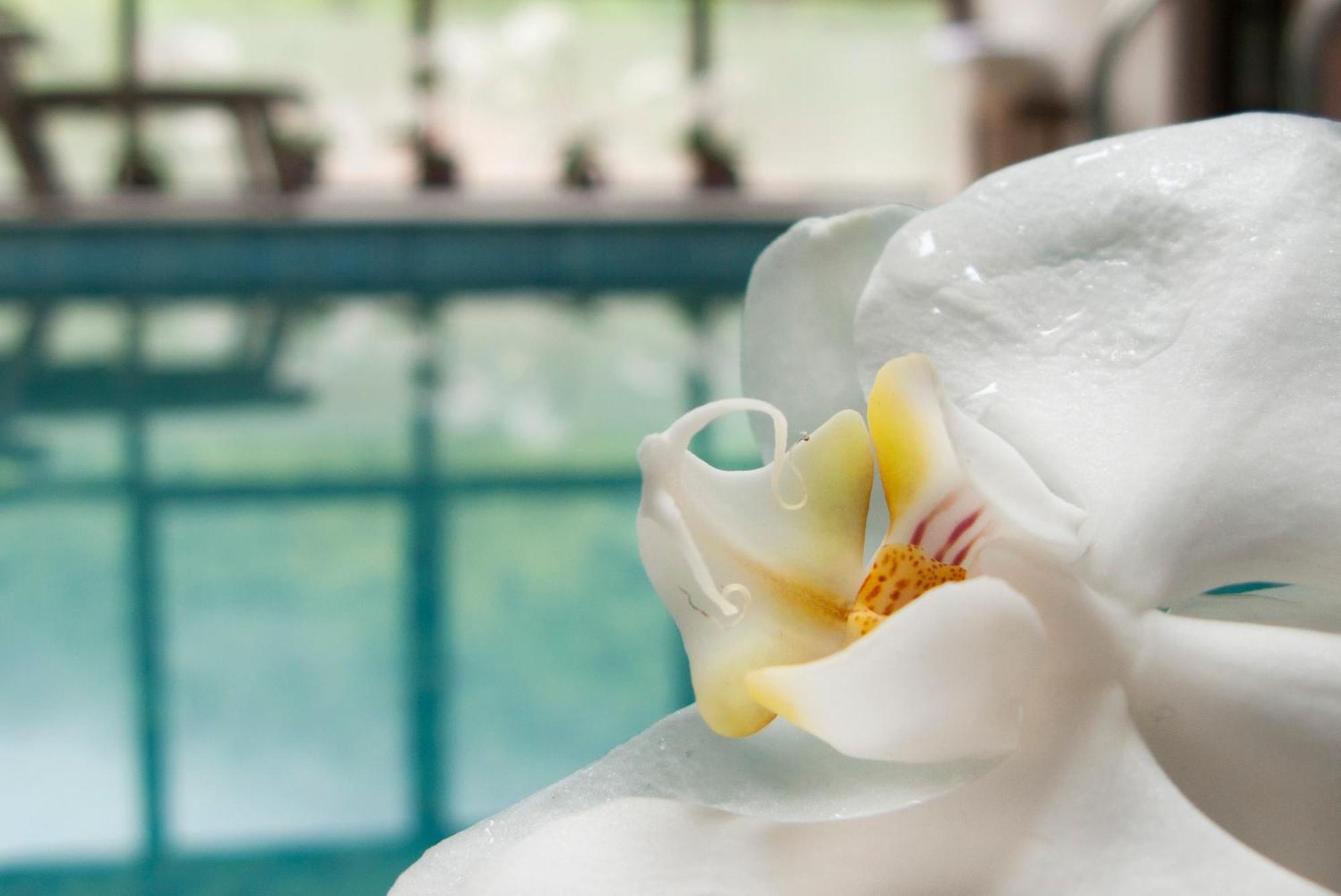 Aqua Varvara Hotel Vetren Dol Kültér fotó